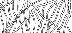 Wood Railing CAD Drawing