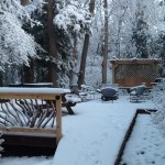 snow-railing-trees