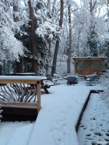 snow-railing-trees