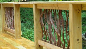 Cable and Branch Railing