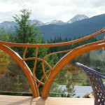 Log Branch Railing with Glass Panels